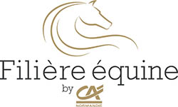 part etalon trotteur a vendre