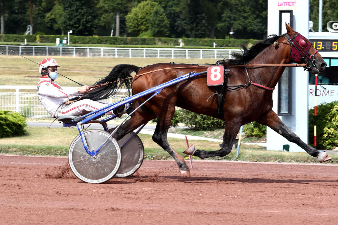 Saillie – FAITHFUL