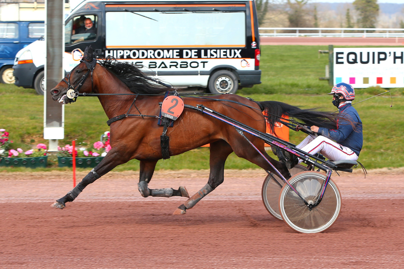 R1C1 PRIX ROGER LEDOYEN - QUINTE + LISIEUX