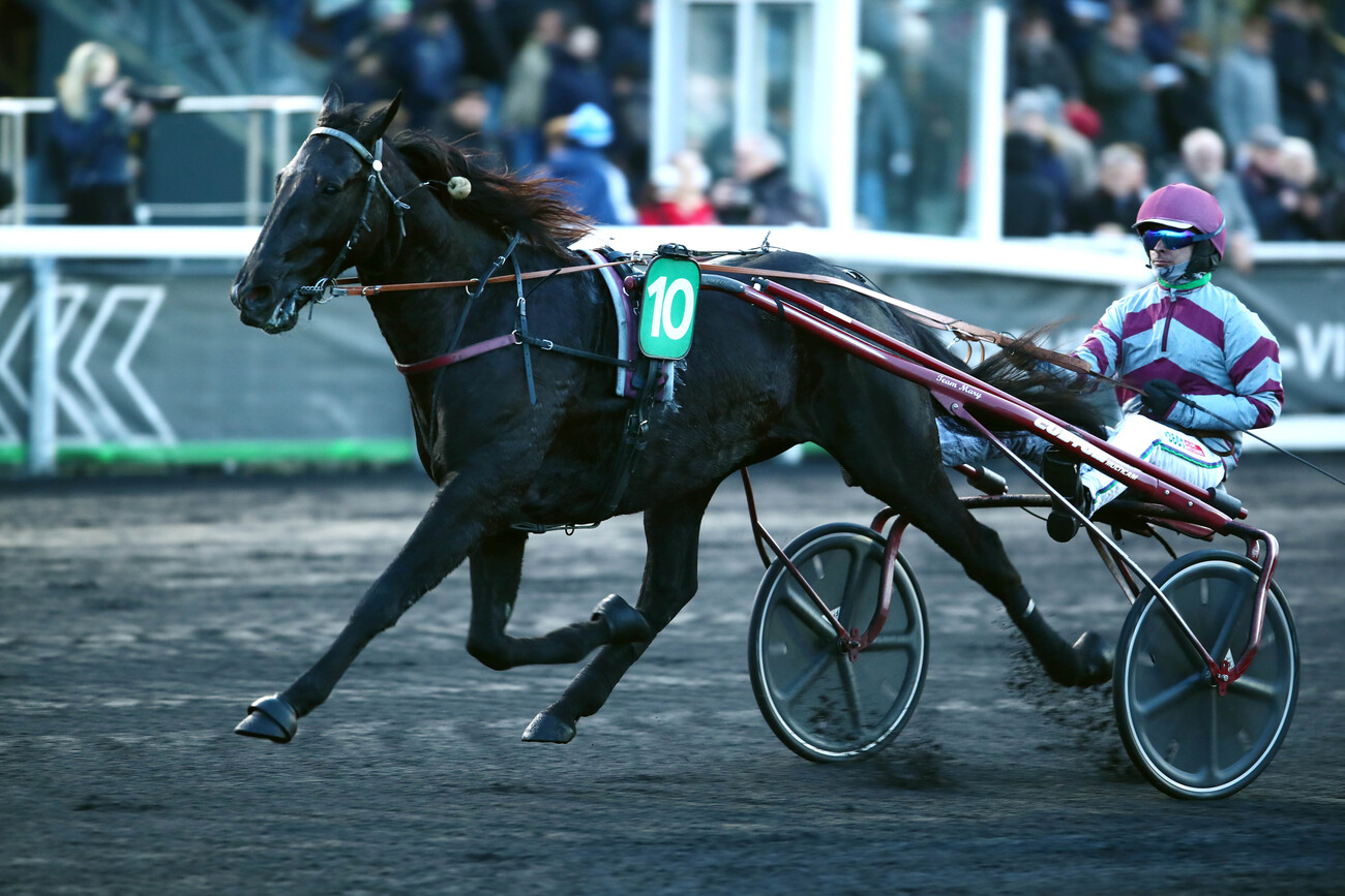 Saillie – INDY DARK