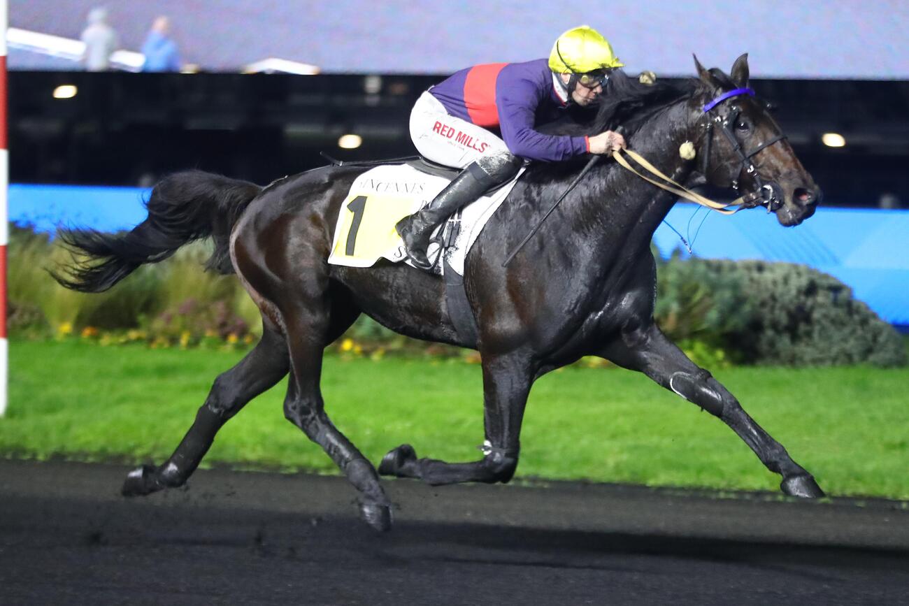 Saillie – JE M’ENVOLE