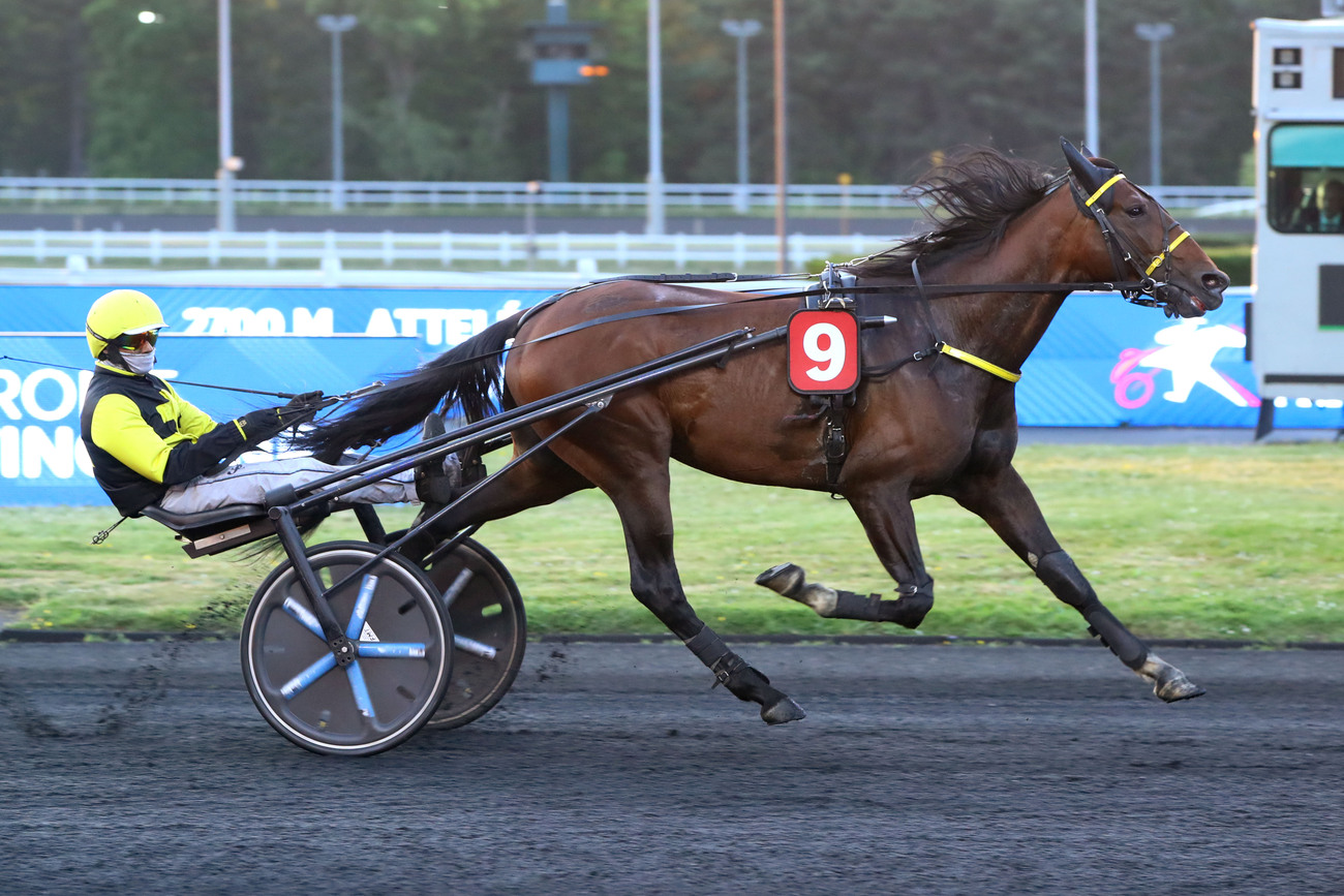 Saillie – MAITRE JACQUES