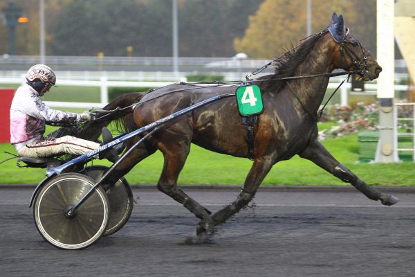 BRUTUS DE BAILLY BRUTUS DE BAILLY